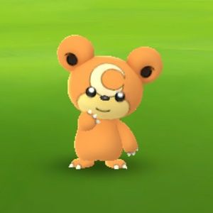 Meet your Posher, Joshua